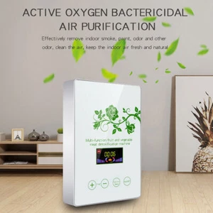Oczyszczacz powietrza Generator ozonu 600mg / h Żywność Warzywa Owoce Maszyna do oczyszczania wody - Zdjęcie 1 z 10