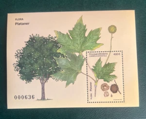 Andorra 2023 Flora - Plano - Imagen 1 de 1