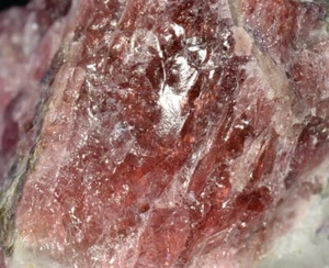 EUDIALITO de Kipawa, Canadá * MINERAL DE SILICATO RARO * 2,7 cm - Imagen 1 de 3