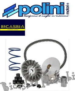 6408 - VARIATORE POLINI EVOLUTION APRILIA GILERA 250 300 NEXUS - Picture 1 of 1