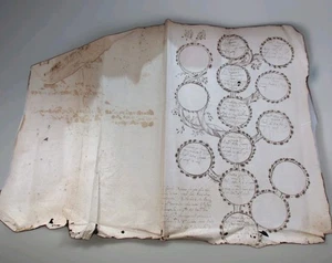 REGNO DI SICILIA bellissimo ALBERO GENEALOGICO disegnato mano di fine 1600 - Imagen 1 de 6