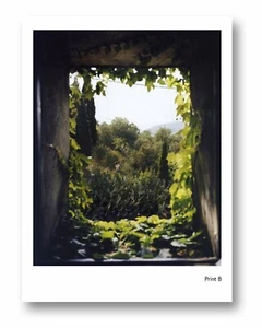 SIGNED - ALEC SOTH - I KNOW FURIOUSLY HEART BEATING LTD ED #/150 W/PRINT B sleep - Imagen 1 de 2