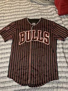 Chicago Bulls NBA Black/Red Button Down Jersey #66 Stitched Mens Size M Striped - Picture 1 of 5