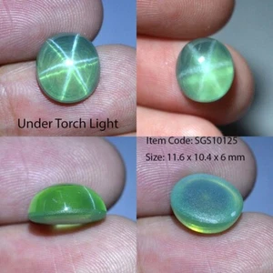 8.25 Ct 11.6x10.4 MM Green Star Sapphire 6 Rays Lab Corundum VDO SGS10125 - Picture 1 of 6