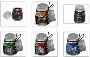Nemesis Spell Candles - Various Fragrances - set of 2 same Fragrances - Picture 1 of 7