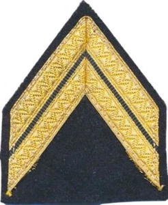 Légion Etrangère, Galon de Sergent, bras (0672) - Imagen 1 de 1