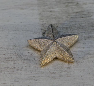 Christian DIOR Star Pendant - Picture 1 of 8