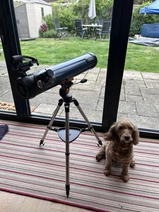 Telescope - Celestron AstroMaster LT 76 Stargazing Astronomy Telescope +extras - Picture 1 of 7