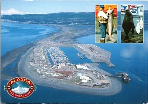 Lachs Heilbutt Fisch Homer Alaska Postkarte Luftbild Great Land Classics - Bild 1 von 2