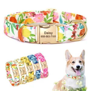 Personalized Dog Collar with Engraved Metal Buckle Custom Name & Phone Number - Picture 1 of 22