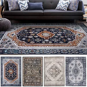 Extra Large Rug/ Brown Blue Beige Persian Carpet/ Machine Washable Rugs Runner - Picture 1 of 22