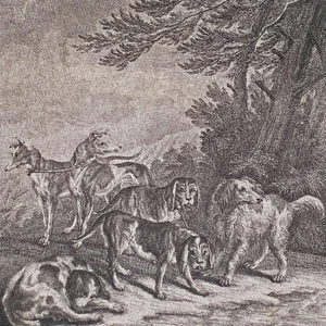 Johann Elias Ridinger Kupferstich aus Entwurf einiger Thiere 18 Jahrhundert - Bild 1 von 4