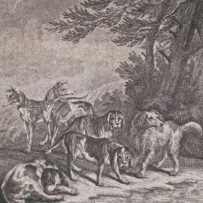 Johann Elias Ridinger Kupferstich aus Entwurf einiger Thiere 18 Jahrhundert - Bild 1 von 4