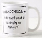 GRANDCHILDREN ARE REWARD FOR NOT STRANGLING TEENAGERS gift MUG grandparents mugs
