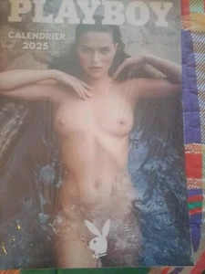 CALENDRIER PLAYBOY 2025 erotique NEUF SOUS BLISTER - Afbeelding 1 van 2