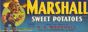 *Original* MARSHALL Western Sheriff Cartoon Cowboy Yam Crate Label NOT A COPY! - Picture 1 of 1