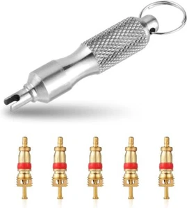 Tire Valve Core Tool and 5pcs Cores, Stainless Steel... - Picture 1 of 6