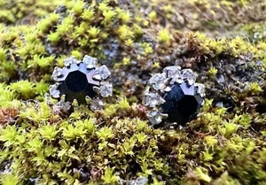 Silver Crystal & Onyx Stud Earrings - Picture 1 of 10
