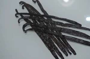 30 Bourbon Vanille Schoten Madagaskar Beans Grad Ein 12cm-14cm - Bild 1 von 3