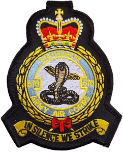 670 Squadron Army Air Corps Embroidered Patch Badge - LAST FEW - Picture 1 of 7