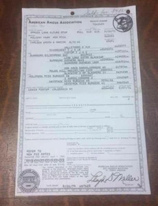 Vintage 1974 American Angus Association Registration Certificate Cattle Ephemera - Picture 1 of 3