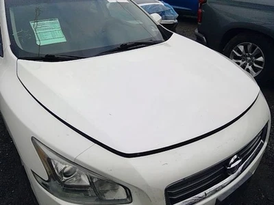 Used Hood fits: 2014 Nissan Maxima  Grade A Foto 1 de 4