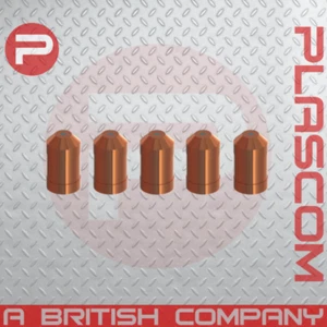 21150 - ESAB PT-20 Electrode Pack of 5 Compatible - Picture 1 of 1