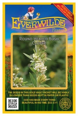 300 semillas de flores silvestres de trébol arbusto cabeza redonda - Paquete de Mylar Everwilde Farms Foto 1 de 3