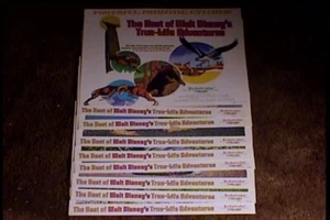 BEST OF WALT DISNEY TRUE LIFE ADVENTURES 11x14 LOBBY CARD SET 1975 - Bild 1 von 1