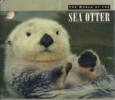 THE WORLD OF THE SEA OTTER By Stephani Paine - Hardcover *Excellent Condition*