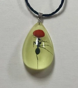 Real Fire Ant Lucite Glow In Dark With Handmade Adjustable String Necklace - Picture 1 of 4