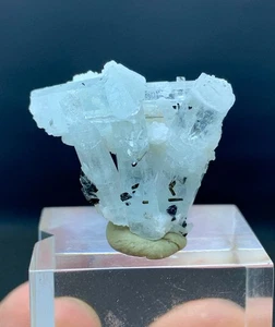 Natural Aquamarine Crystal With Tourmaline Specimen From Skardu Pakistan-4 GM - Picture 1 of 8
