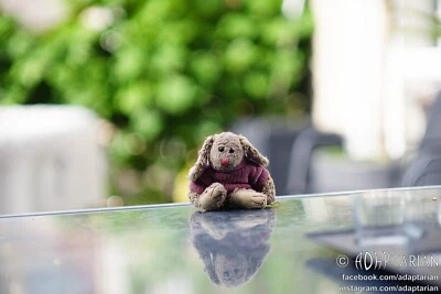 Carl Zeiss BIOMETAR 120/2.8 | Exakta Exa |  Functional,  very sharp - SAMPLES - Image 1 of 4