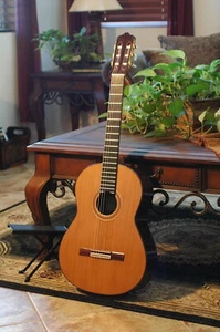 Machen Sie Ihre eigene Rodriguez Gitarre - Online Lehrling Gitarrenbaukurs CDROM - Bild 1 von 18