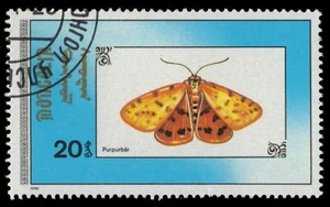 MONGOLIA 1904 - "Rhyparia purpurata" Butterfly (pa23971) - Picture 1 of 1