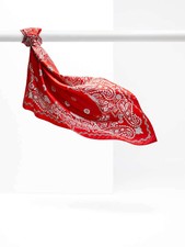 MAX MARA Weekend,  Printed 100% SILK  Scarf  in Red