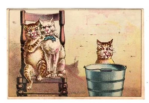 1882 "CELOS" GATOS HUMORÍSTICOS*COMPRAR ARTÍCULOS DE LIBROS*TÉ*TABACO ENCHUFABLE*JABÓN*CAFÉ*PIGARROS - Imagen 1 de 2