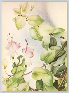 Postal acuarela pintura floral por Valery Porter Valerie c1981 - Imagen 1 de 2