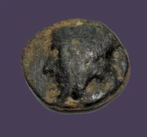 Archaios | Busto Capadocia Ariarathes Raro Izquierdo/De pie Izquierdo | AE | Inv#10.9 - Imagen 1 de 2