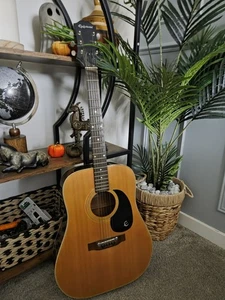 Epiphone Texan FT 145 - 1978 Akustikgitarre Made in Japan - Bild 1 von 18