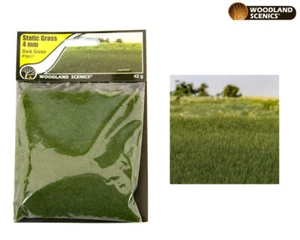 Woodland WFS617 scala H0/TT/N/Z 4 mm erba statica verde scuro - Foto 1 di 1
