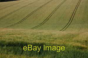 Photo 6x4 Barley near Hampen Tractor tyres leave lines in a field of barl c2008