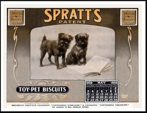 BRUSSELS GRIFFON VINTAGE STYLE A4 SIZE DOG FOOD ADVERT ART PRINT POSTER - Picture 1 of 1