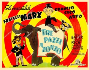 MARX BROTHERS 1948  in  AT THE CIRCUS -   11 X 14  ITALY POSTER LOBBY CARD - Picture 1 of 1