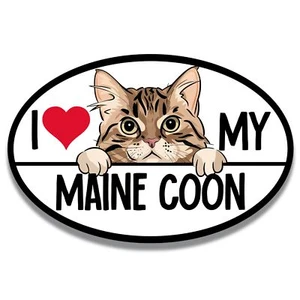 Magnet Me Up I Love My Maine Coon Cat Breed Car Magnet Decal, 4x6 inches - Picture 1 of 6