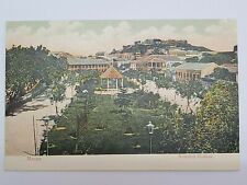 👍 1900s CHINA MACAO BOTANICAL GARDENS  POSTCARD 澳门植物园
