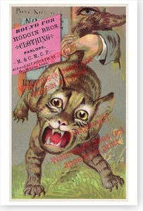 Cat Grabbed By The Tail Victorian Des Moines Clothing Parlor Advertising Poster - Picture 1 of 1