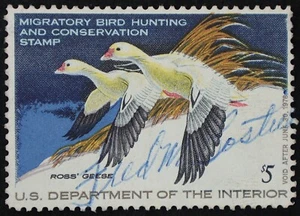 U.S. Used Stamp Scott #RW44 $5 Federal Duck Hunting. Fine - Very Fine. Choice! - Picture 1 of 2