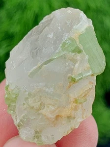 100 Ct Turmalina Paraiba Natural en Cuarzo Cristal Racimo Mineral Espécimen Afg - Imagen 1 de 17