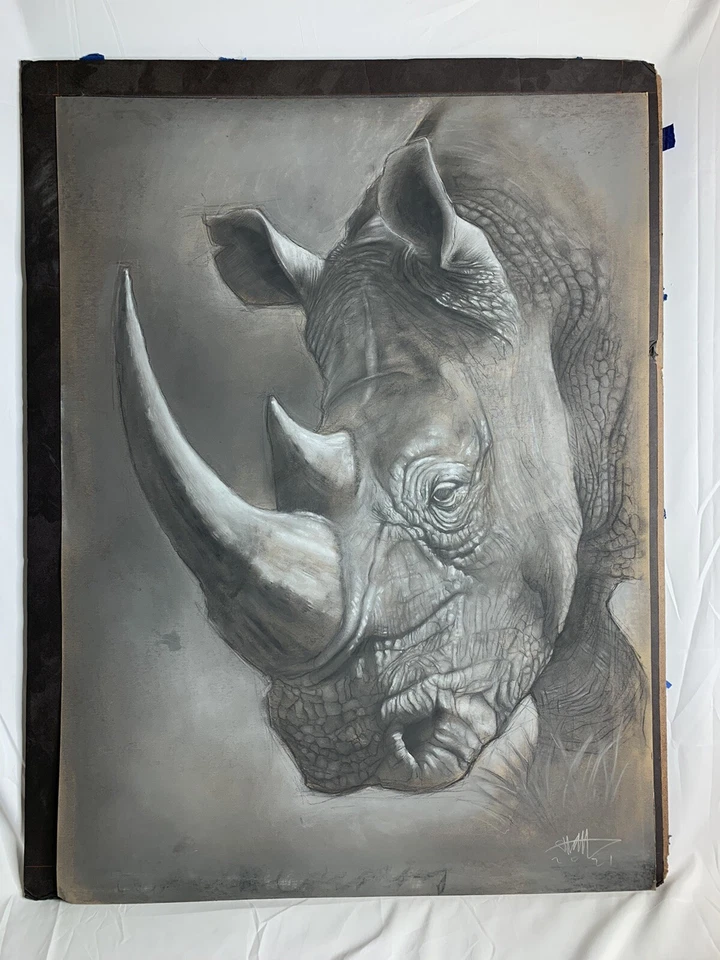 Rhino Charcoal ART Original Foto 1 de 4